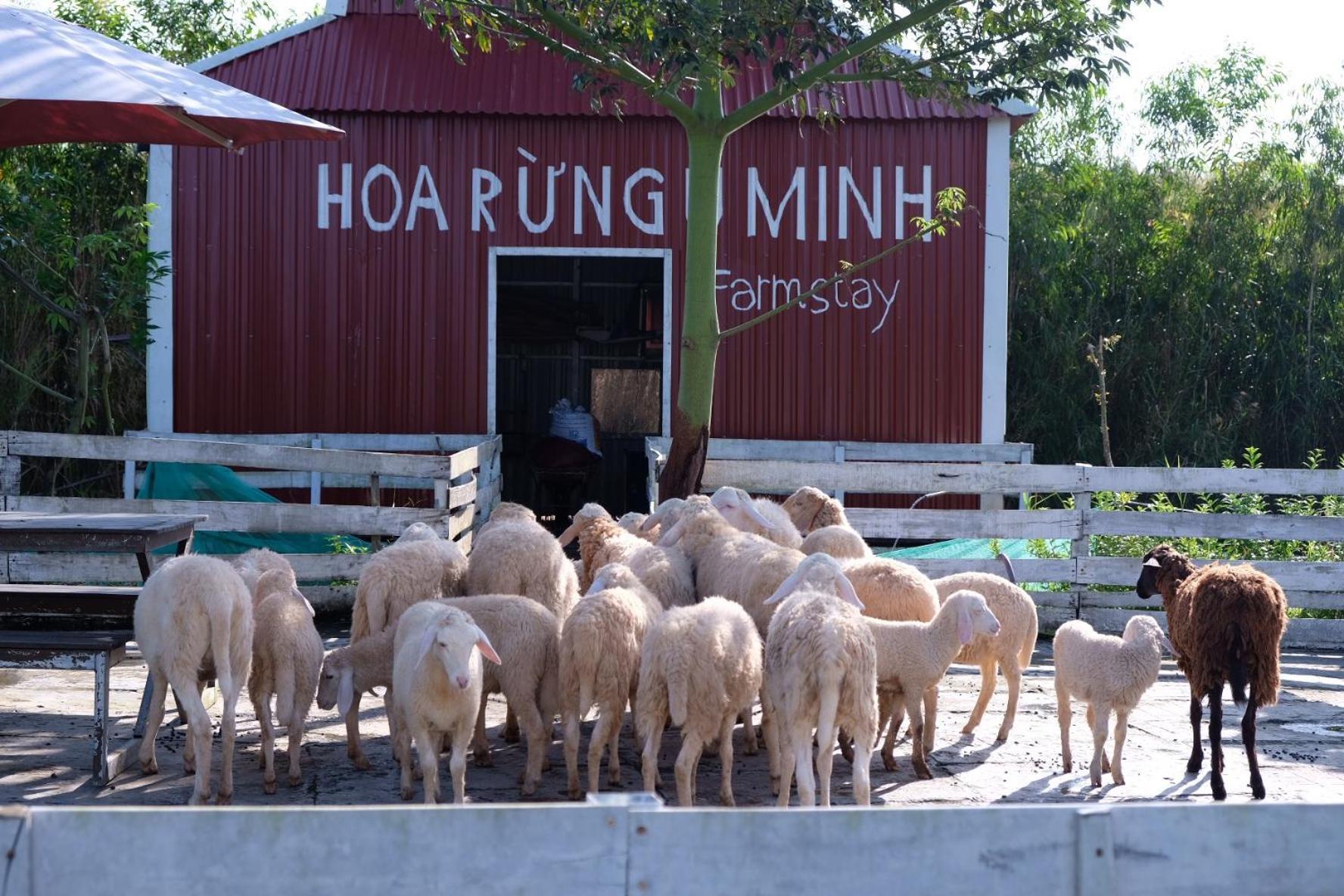 Bungalow - Farmstay Hoa Rung U Minh Ca Mau Luaran gambar