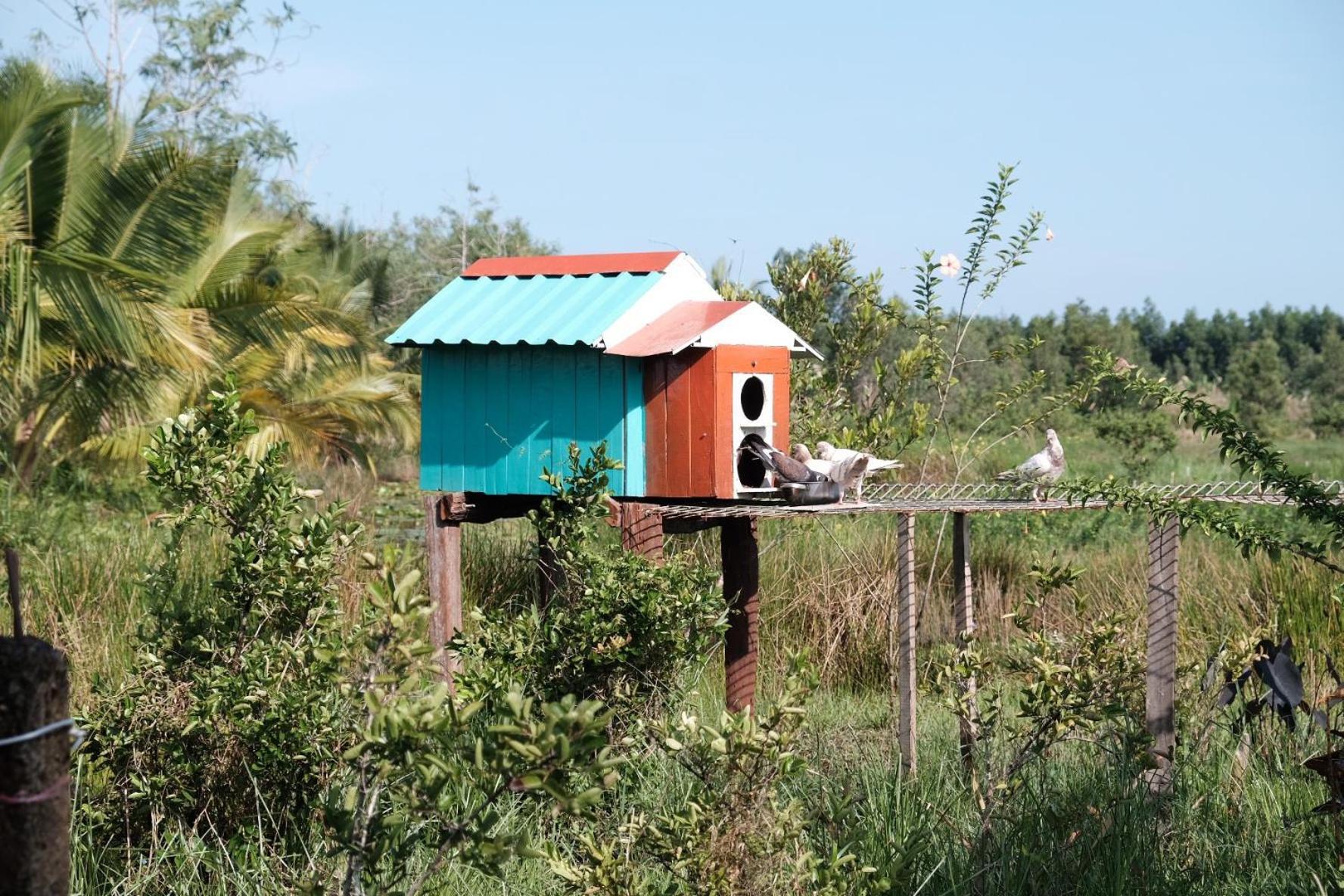 Bungalow - Farmstay Hoa Rung U Minh Ca Mau Luaran gambar